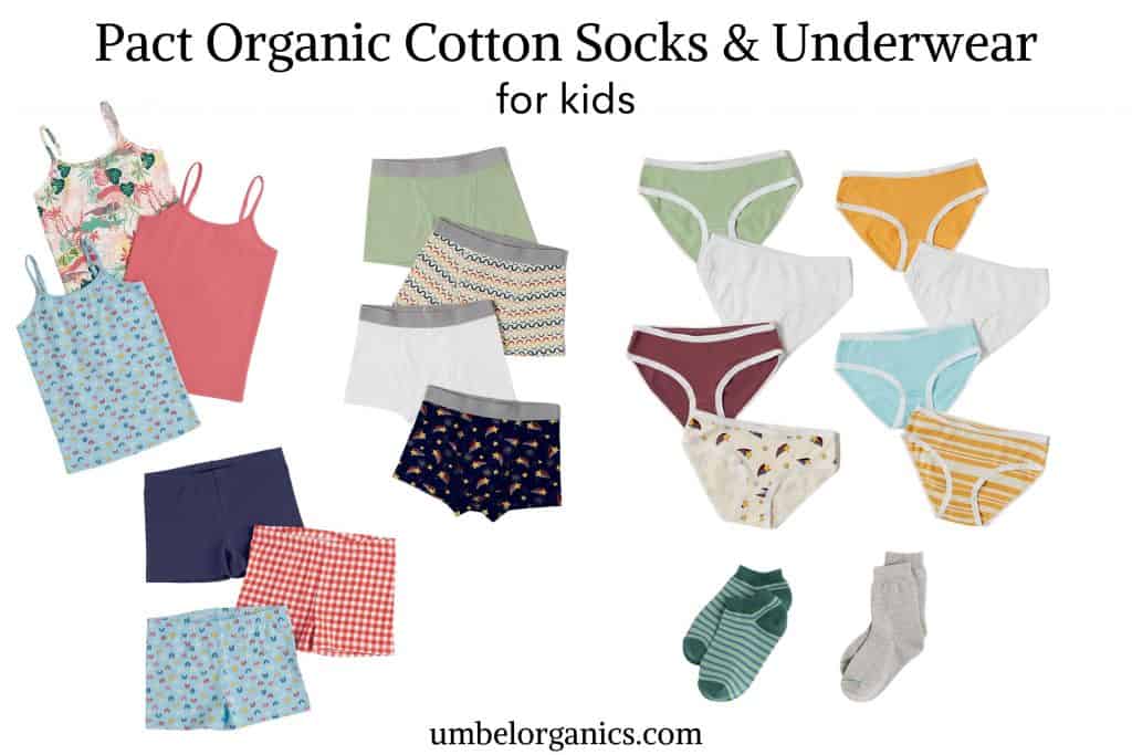 What Is Sustainable Underwear? Ecofriendly Options